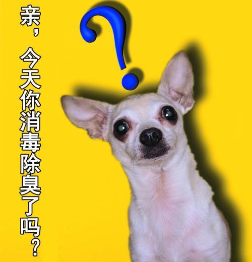 家有愛寵，怎樣挑選寵物消毒液主子才不會生氣？干貨分享【漓峰】