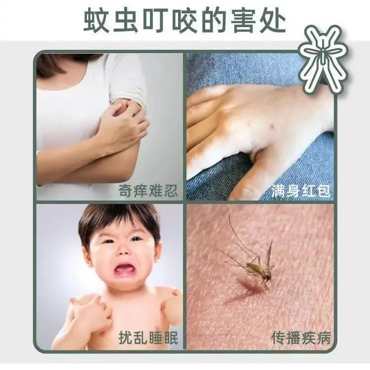 夜不叮驅(qū)蚊液，家家必備！安全有效的驅(qū)蚊產(chǎn)品，嬰幼兒孕婦全家可用！